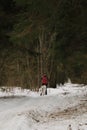 January 24, 2023 Moscow Russia. Running with dog for endurance. Young woman on skis runs along snowy winter forest road