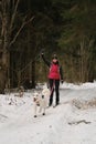 January 24, 2023 Moscow Russia. Running with dog for endurance. Young woman on skis runs along snowy winter forest road