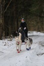 January 24, 2023 Moscow Russia. Running with dogs for endurance and long distance competitions. Musher woman on sled