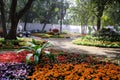 25 January 2023, Pune, India, The empress Botanical Garden during Annual flower show in Pune