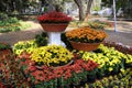 25 January 2023, Pune, India, The empress Botanical Garden during Annual flower show in Pune