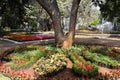 25 January 2023, Pune, India, The empress Botanical Garden during Annual flower show in Pune