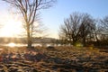 January sunrise at the lake Royalty Free Stock Photo