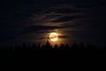 Super Moon rising in January Royalty Free Stock Photo