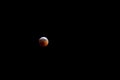 January 20, 2019 Super Wolf Blood Moon Eclipse over Mahomet, Illinois with stars