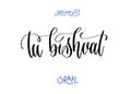january 31 - tu bishvat - israel, hand lettering hebrew inscription