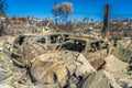 JANUARY 2018, VENTURA CALIFORNIA - Destroyed homesand cars from 2018 Thomas Fire off Foothill Road. Chimney, burned