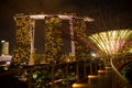 Marina Bay Sands from the Supertree Grove walkway, Singapore