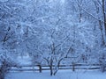 Blue hour after winter snowstorm in pre-dawn twilight