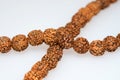 Japa mala (prayer beads) made of rudraksha isolated