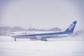 Japan Airline ready to Flight.