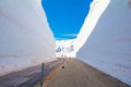 The japan alps  or the snow mountains wall  of Tateyama Kurobe alpine  in sunshine day with  blue sky background is one of the Royalty Free Stock Photo