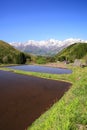 Japan Alps and terrace paddy field Royalty Free Stock Photo