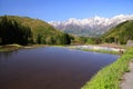 Japan Alps and terrace paddy field Royalty Free Stock Photo