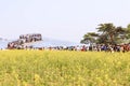 JAPAN - April 20th 2018 View yellow flower and mountain of the p