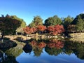 Japanese garden for autumn background Royalty Free Stock Photo