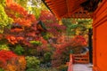 Japan autumn image. Bishamon-do temple in Kyoto city