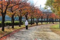 Japan autumn in Osaka