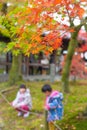 Japan Autumn Red Maple at Tofukuji Temple. Royalty Free Stock Photo