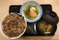 Japan Beef and Rice Bowl