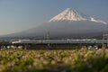 Japan Bullet Train and Mount Fuji in the Background Royalty Free Stock Photo