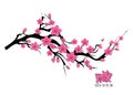 Japan cherry blossom branching tree illustration. Japanese invitation card with asian blossoming plum branch Royalty Free Stock Photo