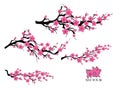 Japan cherry blossom branching tree. Japanese invitation card with asian blossoming plum branch. Year of the pig Royalty Free Stock Photo