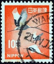 JAPAN - CIRCA 1966: A stamp printed in Japan shows Manchurian Japanese Cranes, circa 1966.