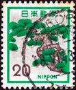 JAPAN - CIRCA 1971: A stamp printed in Japan shows a Pine tree, circa 1971.