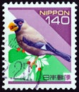 JAPAN - CIRCA 1998: A stamp printed in Japan shows Chinese grosbeak (Eophona migratoria).