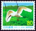 JAPAN - CIRCA 1999: A stamp printed in Japan shows Kin, the last native Crested ibis Nipponia nippon, circa 1999.