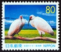 JAPAN - CIRCA 1999: A stamp printed in Japan shows Youyou and Yangyang a pair of Crested ibis Nipponia nippon, circa 1999.