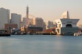 Yokohama City and Osanbashi pier including cruises during day time