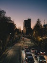 Fiery Tokyo sunset lights up winter sky, casting stunning glow over city\'s bare trees and bustling streets. Royalty Free Stock Photo