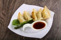 Japan dumplings - Gyoza Royalty Free Stock Photo