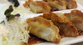 Japan dumplings - Gyoza with shrimp meat and vegetables