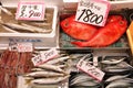 Japan fish market