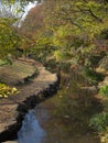 Japan Garden River Royalty Free Stock Photo