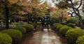 Japan graveyard, nature and trees by shrine in landscape environment, autumn leaves and plants. Rain, countryside and Royalty Free Stock Photo