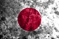 Japan grunge flag on old dirty wall Royalty Free Stock Photo