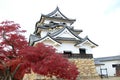 Japan Hikone Castle