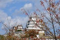Japan Himeji Castle autumn tree Royalty Free Stock Photo
