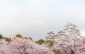 Japan Himeji castle , White Heron Castle in beautiful sakura che Royalty Free Stock Photo