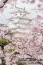 Japan Himeji castle , White Heron Castle in beautiful sakura che Royalty Free Stock Photo