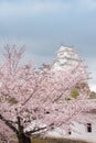 Japan Himeji castle , White Heron Castle in beautiful sakura che Royalty Free Stock Photo