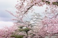 Japan Himeji castle , White Heron Castle in beautiful sakura che Royalty Free Stock Photo