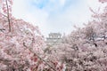 Japan Himeji castle , White Heron Castle in beautiful sakura che Royalty Free Stock Photo