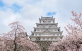 Japan Himeji castle , White Heron Castle in beautiful sakura che Royalty Free Stock Photo