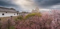 Japan Himeji castle , White Heron Castle in beautiful sakura che Royalty Free Stock Photo