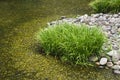 Japan Himeji Himeji Koko-en Gardens stream close-up Royalty Free Stock Photo